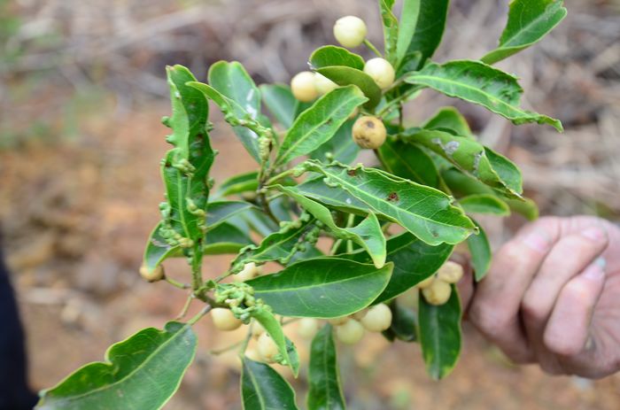 nEO_IMG_��Ƭ 621.jpg