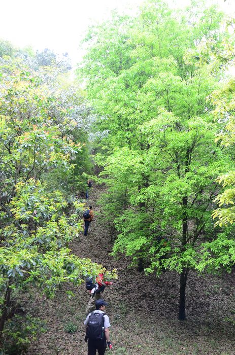 nEO_IMG_��Ƭ 572.jpg