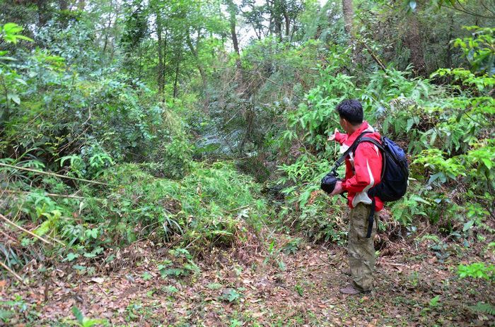 nEO_IMG_��Ƭ 574.jpg