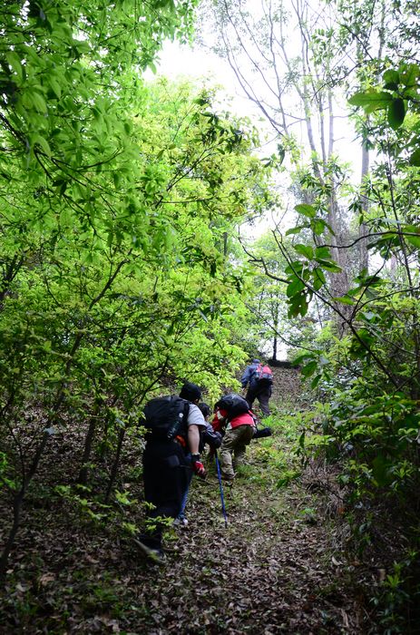 nEO_IMG_��Ƭ 578.jpg