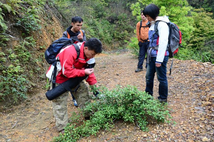 nEO_IMG_��Ƭ 588.jpg