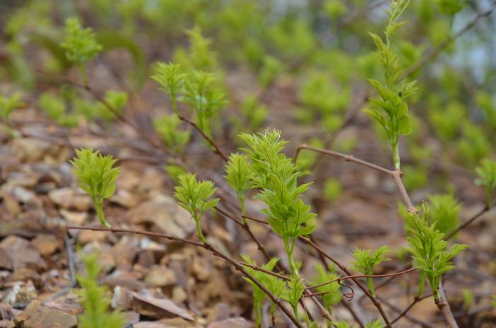 nEO_IMG_��Ƭ 608.jpg