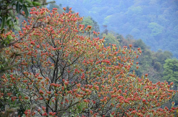 nEO_IMG_��Ƭ 611.jpg