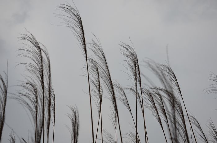 nEO_IMG_��Ƭ 619.jpg