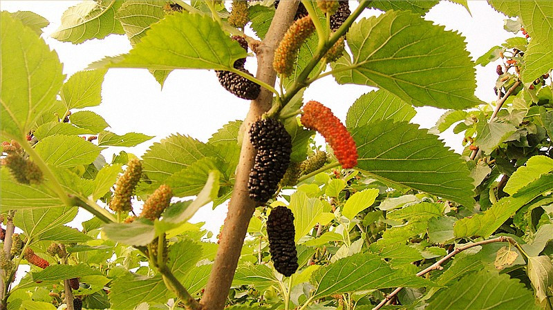 ɣ�� 3_����.jpg