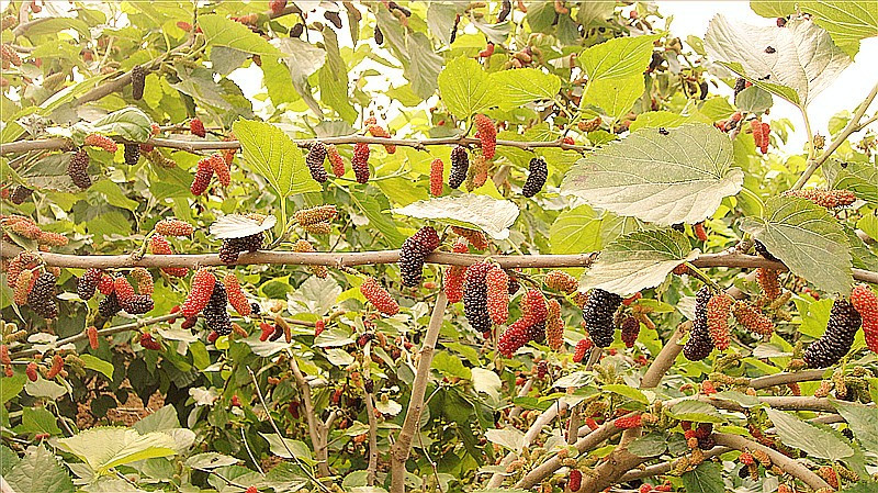 ɣ�� 2_����.jpg