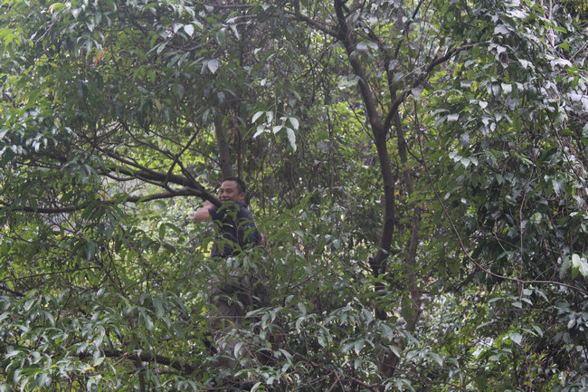 11��03.27��Խ������ 037.jpg