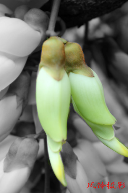 ǧ��Ϫ��ɽ 048_����1.jpg