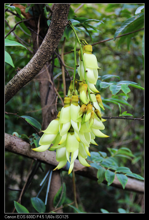 nEO_IMG_��Ƭ 172.jpg