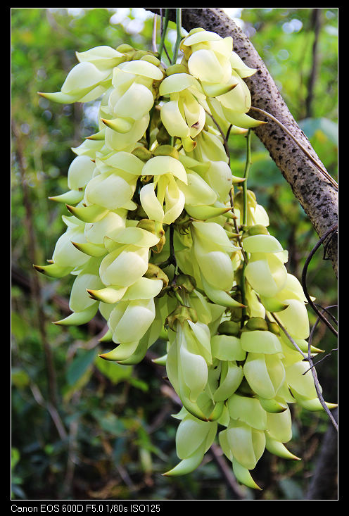 nEO_IMG_��Ƭ 178.jpg