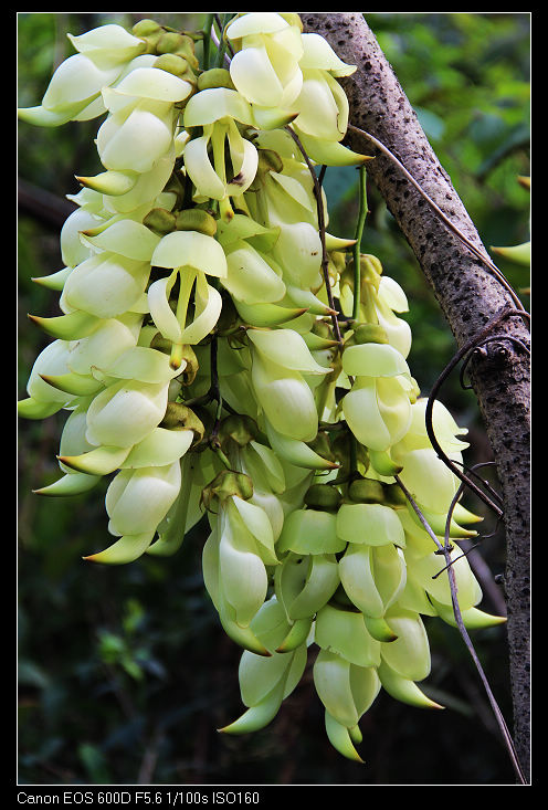 nEO_IMG_��Ƭ 180.jpg