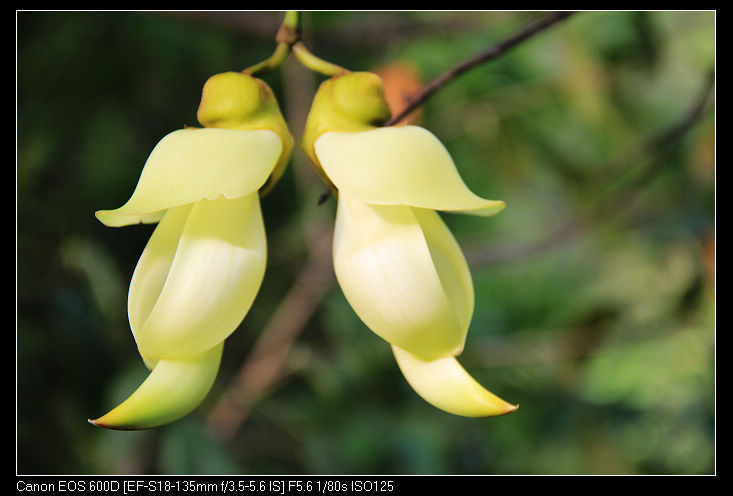 nEO_IMG_��Ƭ 184.jpg