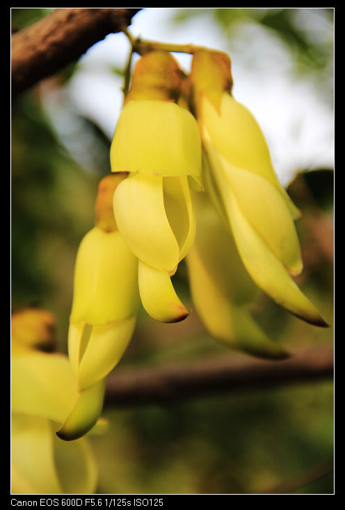 nEO_IMG_��Ƭ 186.jpg