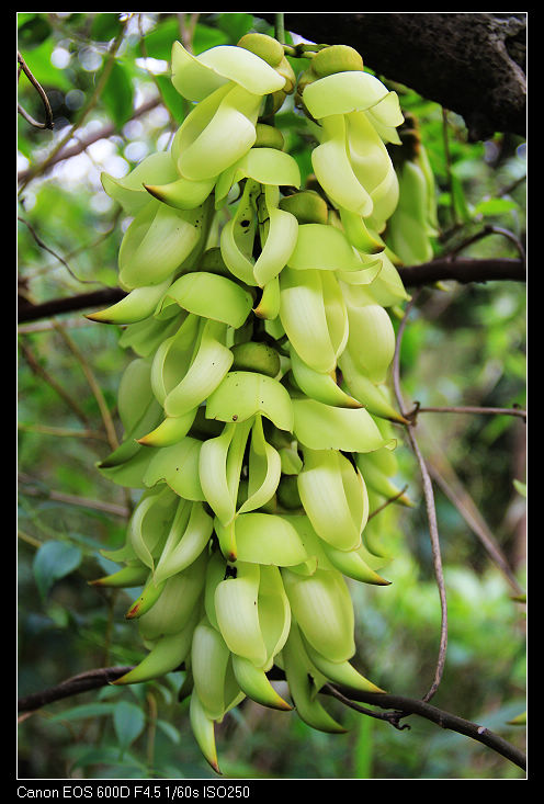 nEO_IMG_��Ƭ 201.jpg