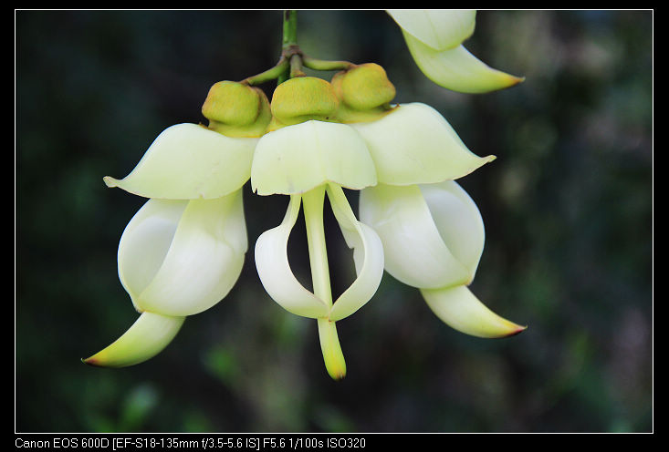 nEO_IMG_��Ƭ 196.jpg