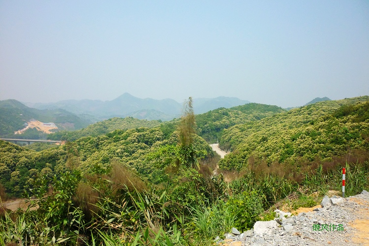 ��ɽ��Ұ�Ļ���