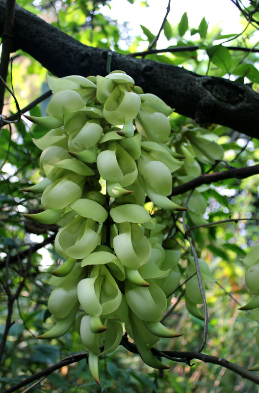 ��ת ��ת IMG_3360.jpg