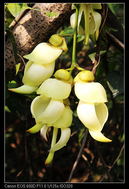 nEO_IMG_��Ƭ 026.jpg