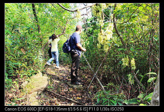 nEO_IMG_��Ƭ 029.jpg