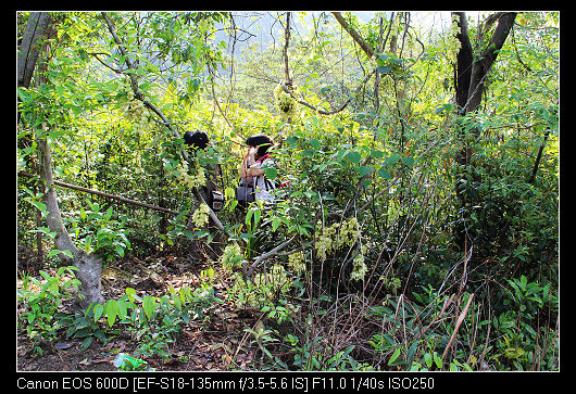 nEO_IMG_��Ƭ 030.jpg