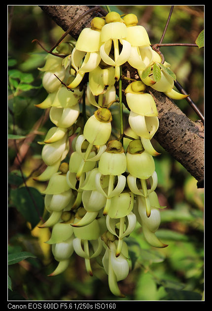 nEO_IMG_��Ƭ 025.jpg