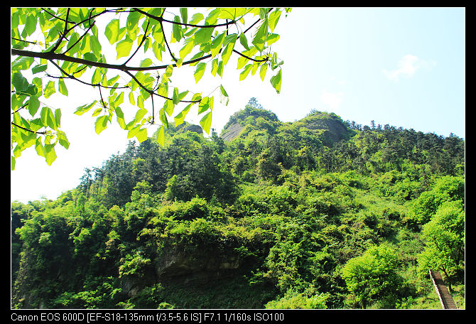 nEO_IMG_�~ɽ��˷�� 285.jpg