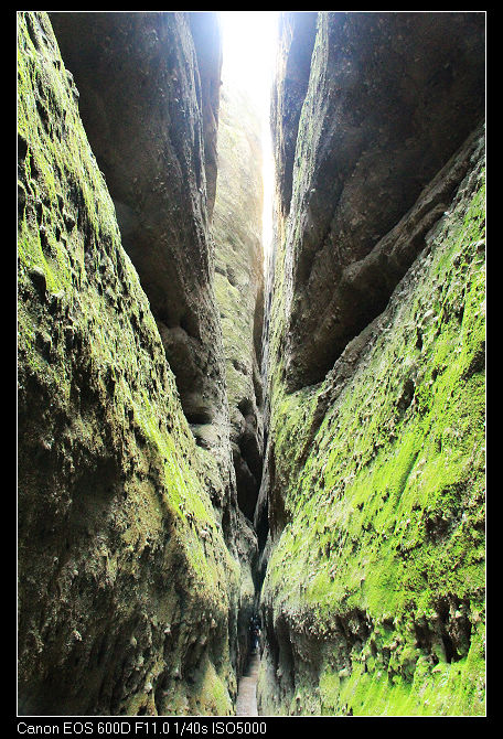 nEO_IMG_�~ɽ��˷�� 315.jpg