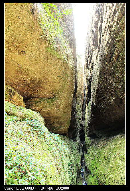 nEO_IMG_�~ɽ��˷�� 317.jpg