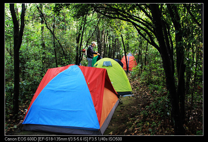 nEO_IMG_�~ɽ��˷�� 562.jpg