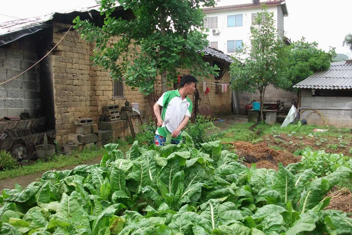 �մ���ʡ������ 402.jpg