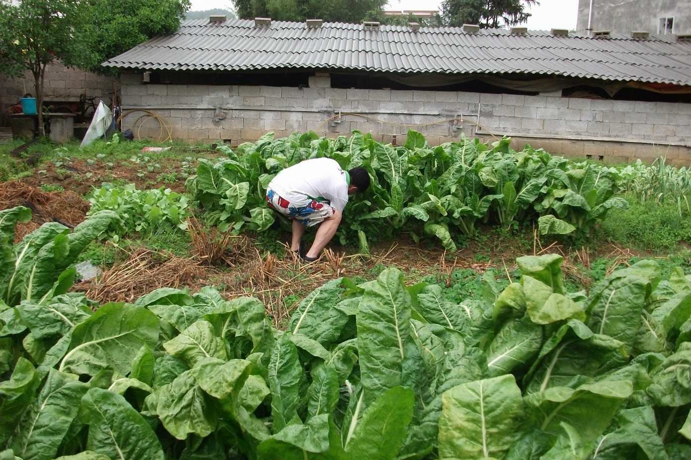 �մ���ʡ������ 403.jpg