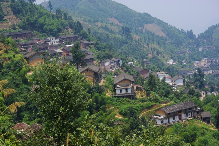 ������կ