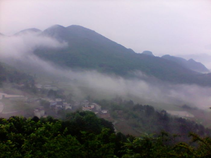 2011-05-06 09.54.28.jpg