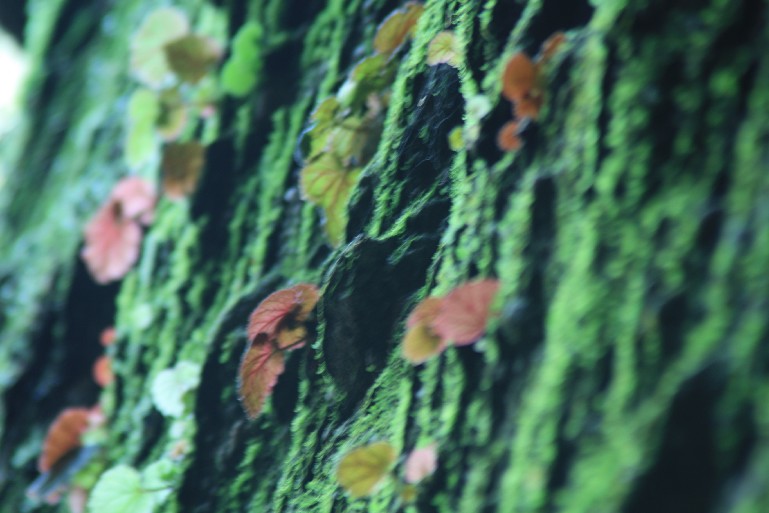 �մ���ʡ�~ɽ�� (29).JPG