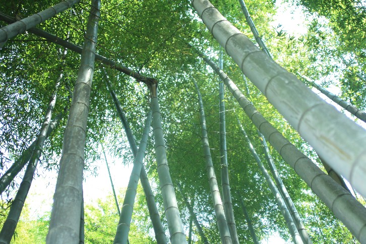 �մ���ʡ�~ɽ�� (39).JPG