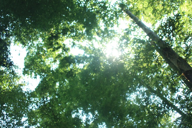 �մ���ʡ�~ɽ�� (52).JPG