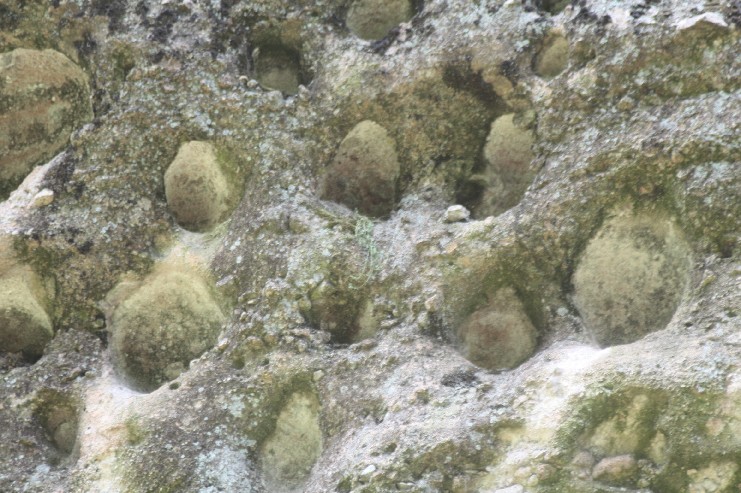 �մ���ʡ�~ɽ�� (63).JPG