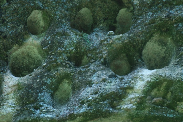 �մ���ʡ�~ɽ�� (64).JPG