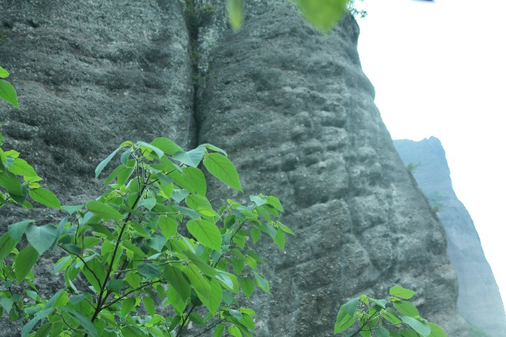 �մ���ʡ�~ɽ�� (90).JPG