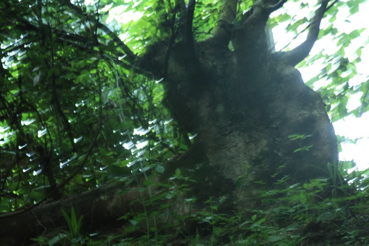 �մ���ʡ�~ɽ�� (101).JPG