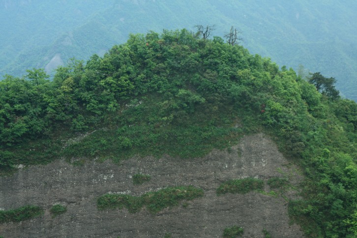 �մ���ʡ�~ɽ�� (110).JPG