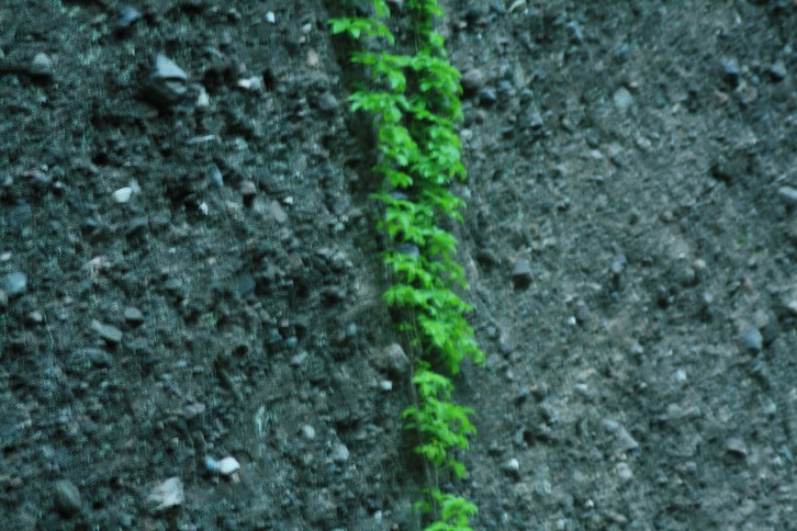 �մ���ʡ�~ɽ�� (129).JPG