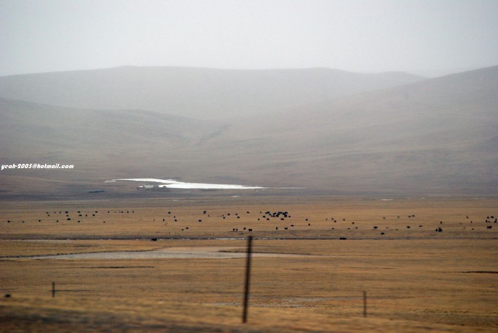 nEO_IMG_DSC_0045 (2).jpg