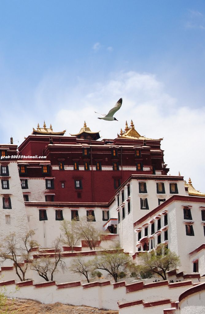 nEO_IMG_DSC_0176 (2).jpg