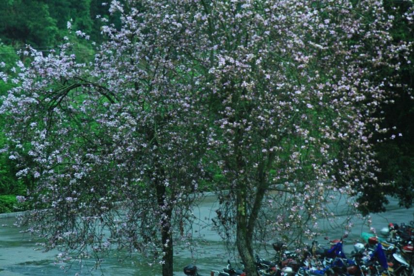 ����������˷�� (46).JPG