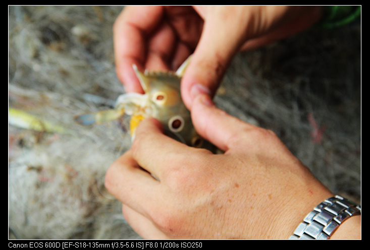 �ݶ�ƽ�� 032_nEO_IMG.jpg