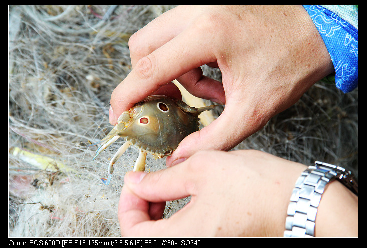 �ݶ�ƽ�� 033_nEO_IMG.jpg