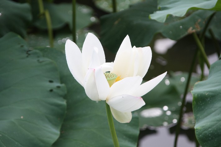 ���� (9).JPG