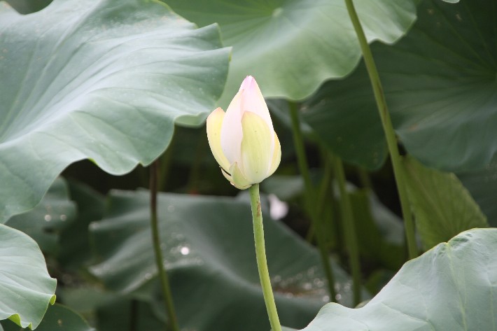 ���� (12).JPG