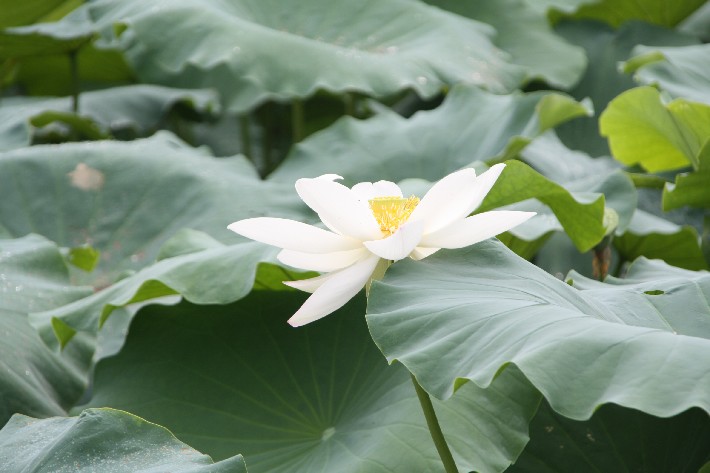 ���� (13).JPG